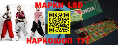 сатива Ставрополь