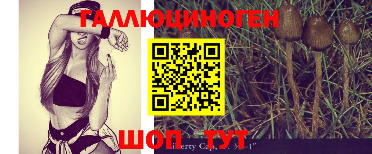 Псилоцибиновые грибы Psilocybe Полевской